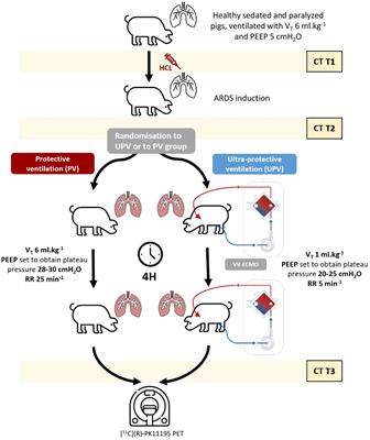 Pulmonary inflammation decreases with ultra-protective ventilation in experimental ARDS under VV-ECMO: a positron emission tomography study